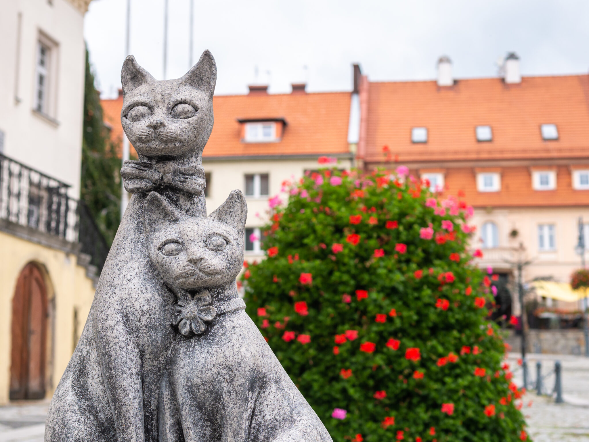 Trzebnica Rynek Ratusz rzeźby kotów