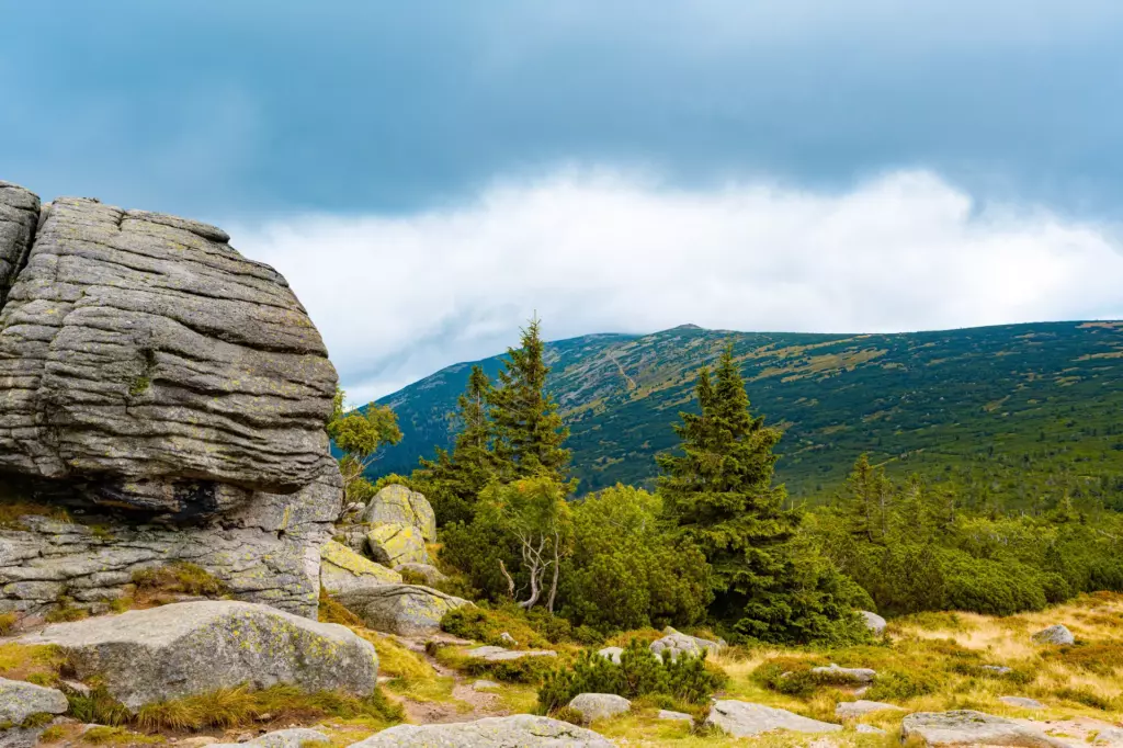 Karkonosze