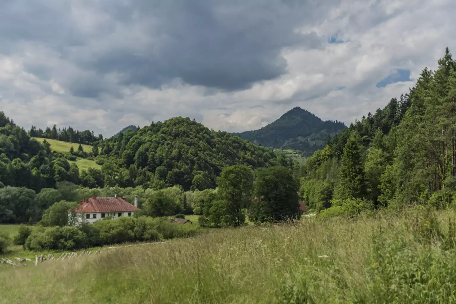Pieniny