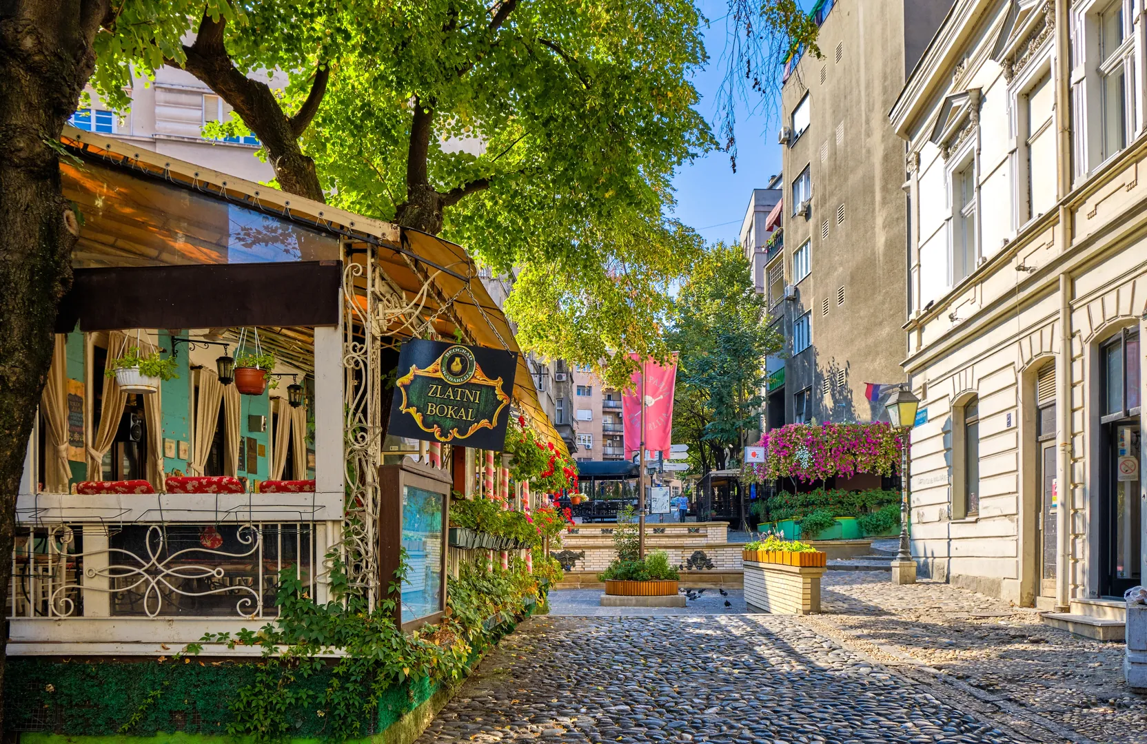 Belgrad / Serbia - ulica Skadarlija