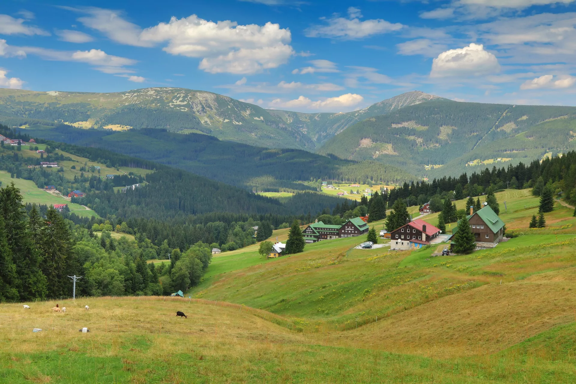 Karkonosze z dziećmi widok na góry