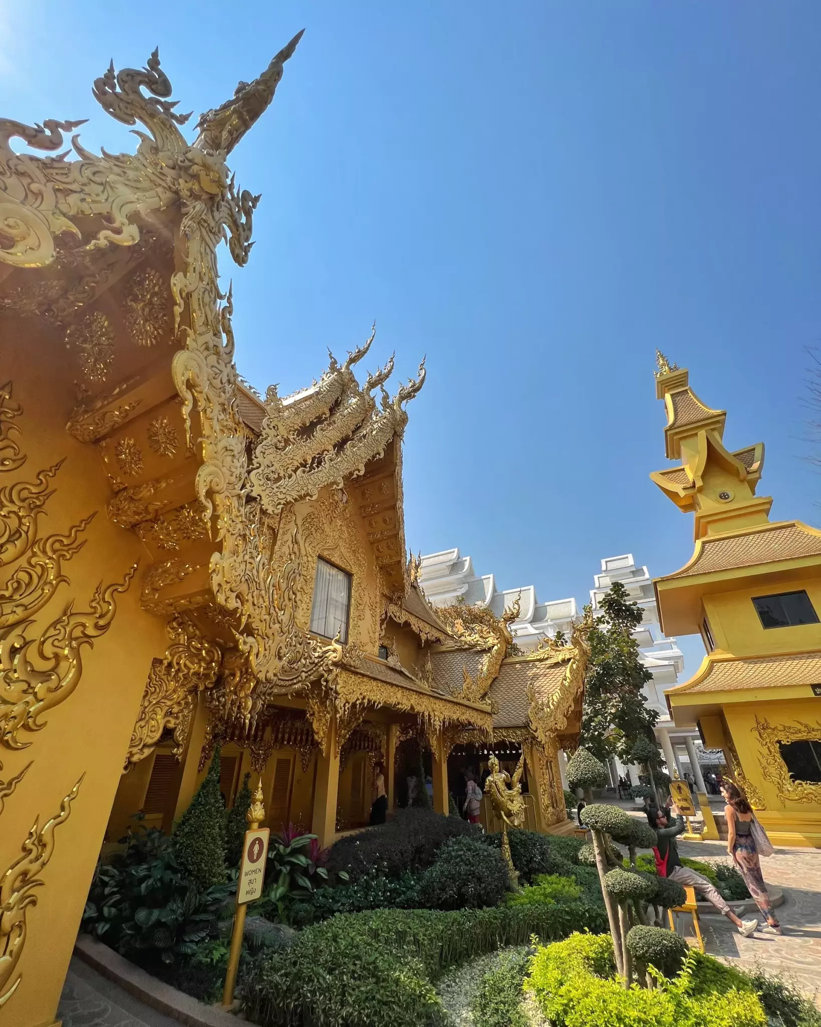 złota świątynia niebo trawa chiang rai
