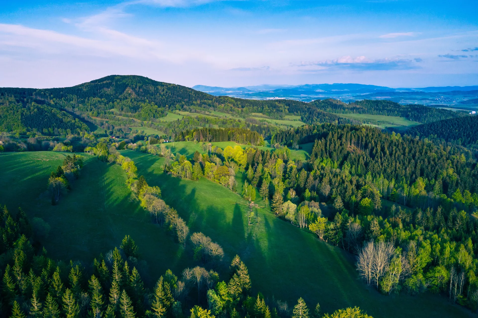 Rudawski Park Krajobrazowy las wzgórza góry