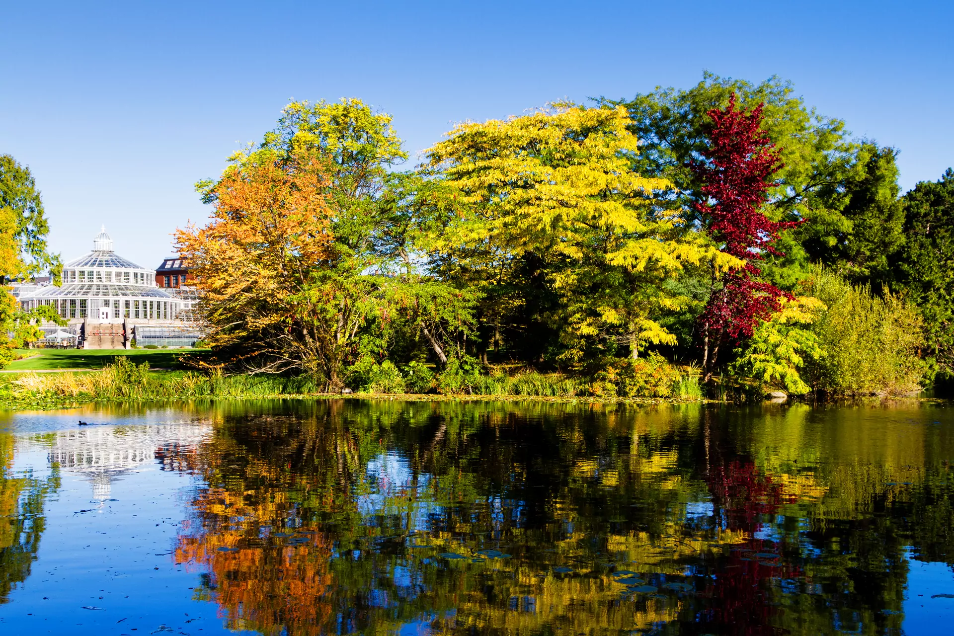 ogród botaniczny