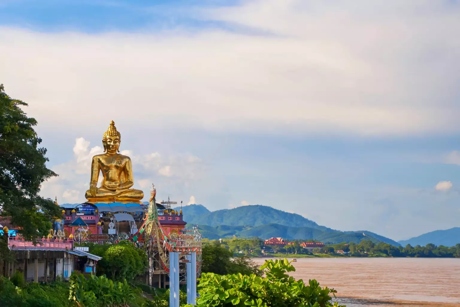 Chiang Rai złoty budda drzewa