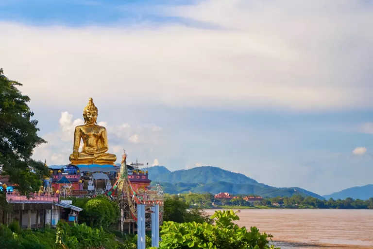 Chiang Rai złoty budda drzewa