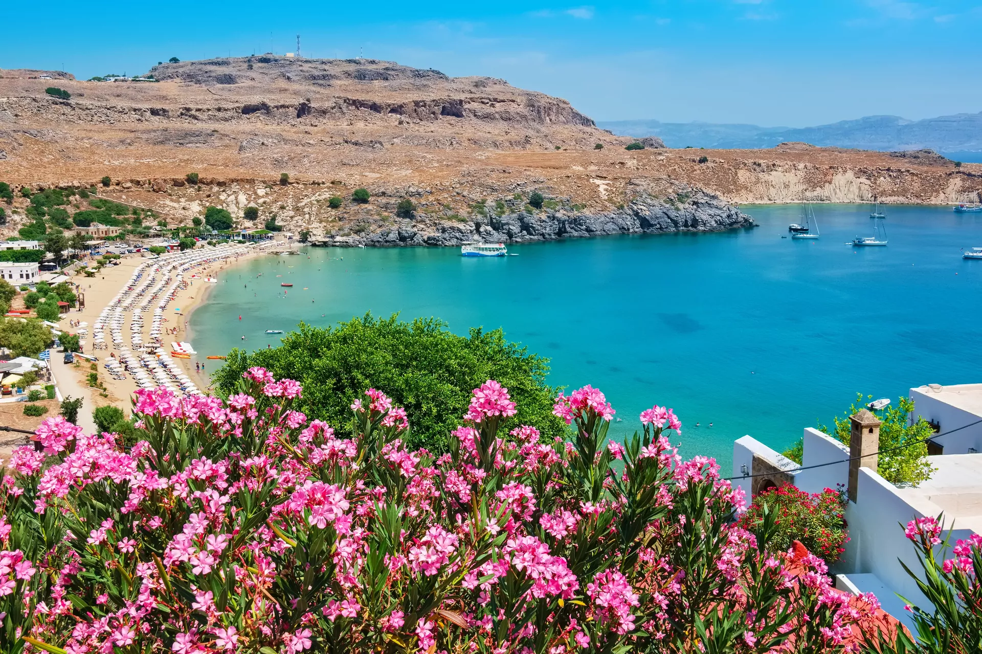 wybrzeże Rodos, plaża, różowe kwiaty