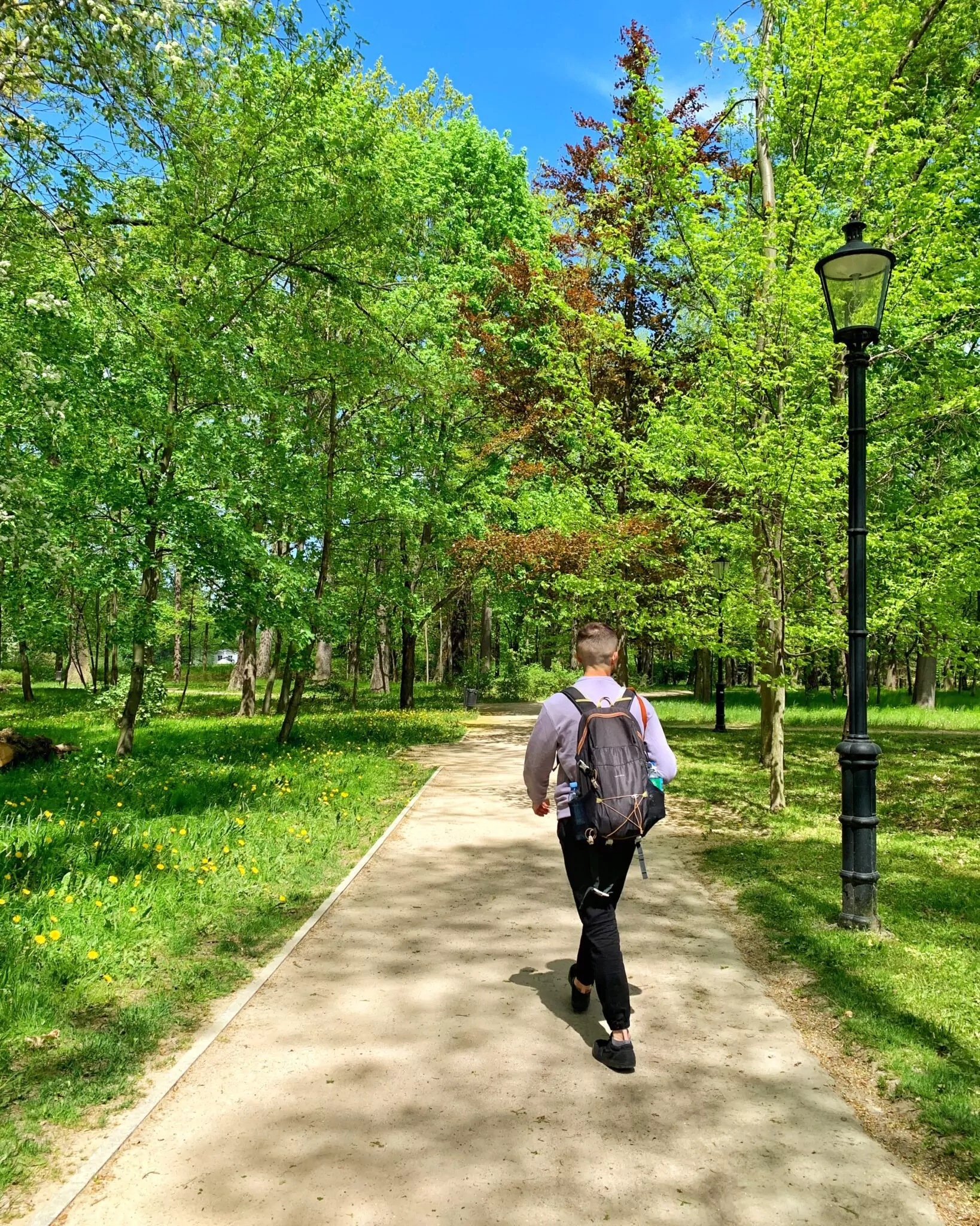 Karkonosze Jelenia Góra park mężczyzna