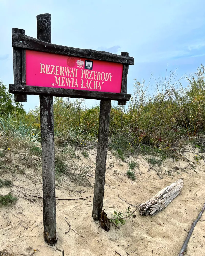 Mewia Łacha rezerwat przyrody plaża morze