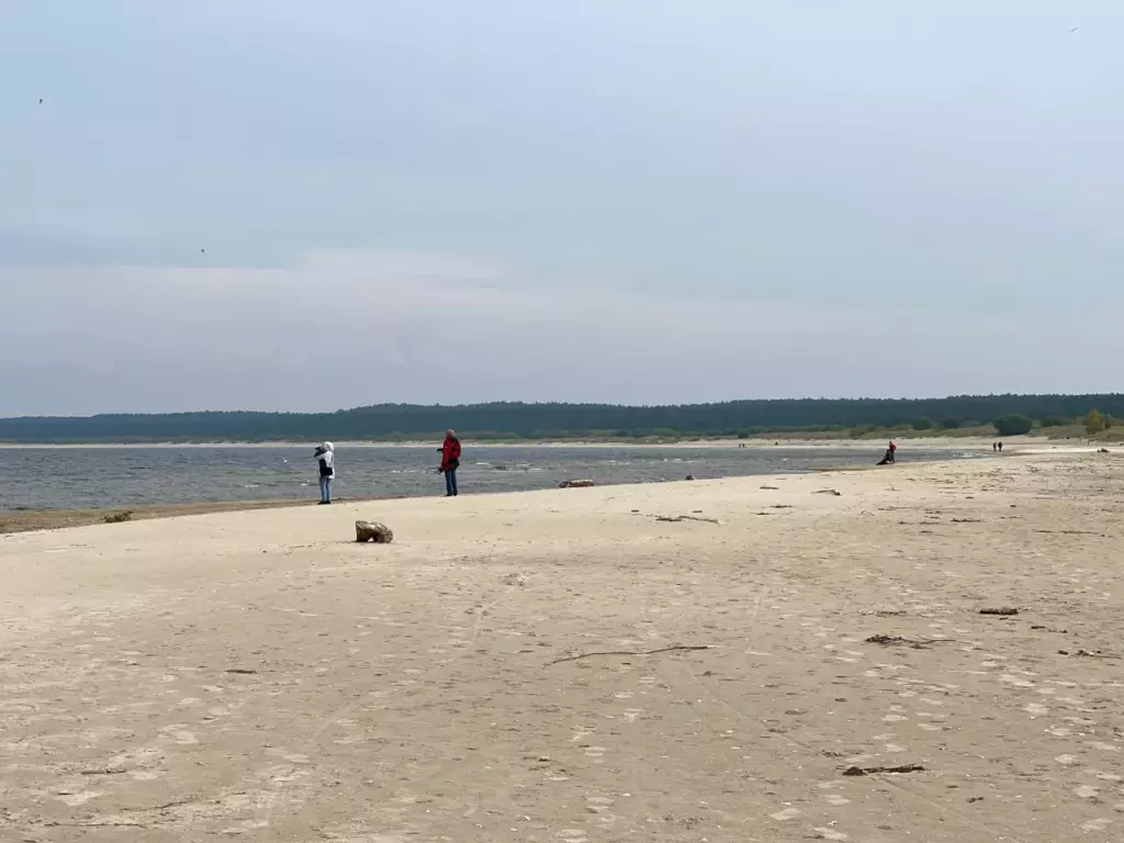 Bałtyk morza plaża ujście Wisły