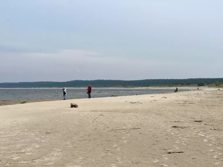 Bałtyk morza plaża ujście Wisły