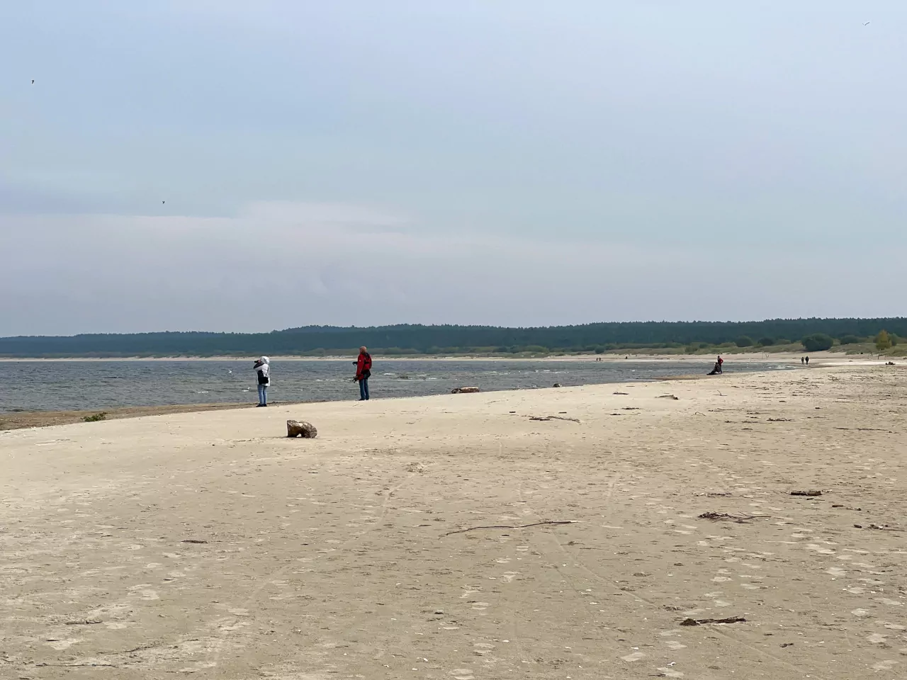 Bałtyk morza plaża ujście Wisły