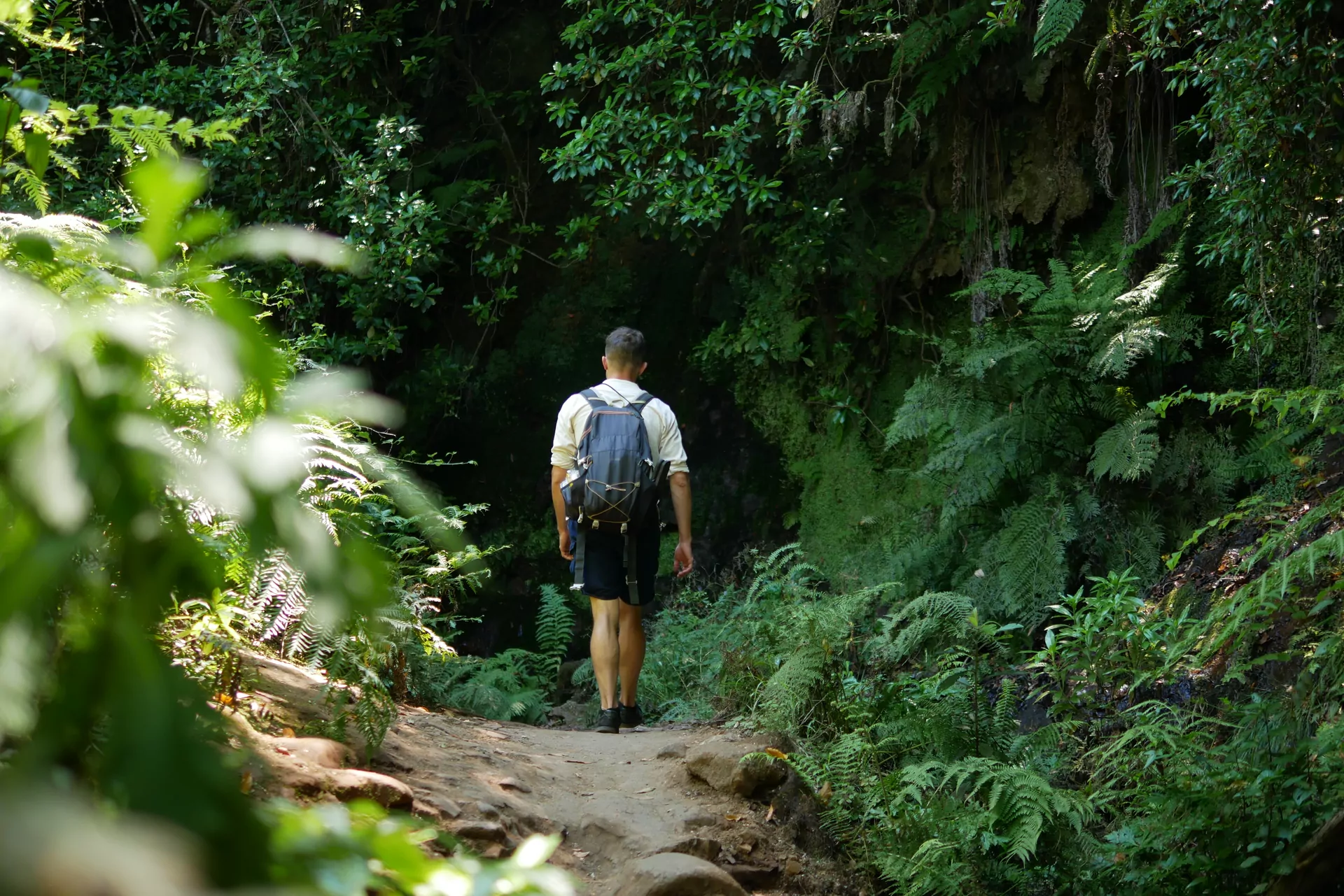 Madera wyspa levada Caldeirão Verde las natura mężczyzna