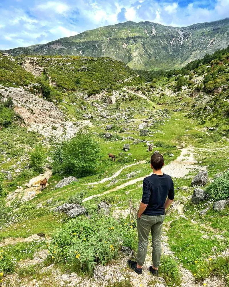 Bartek góry Albania