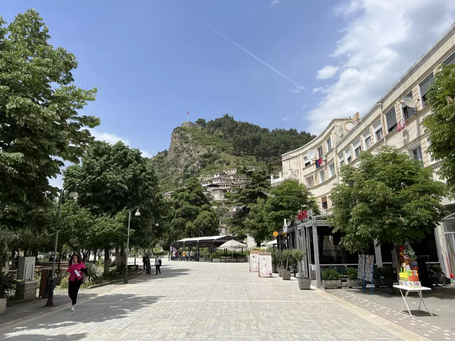 Berat ulica budynek drzewa