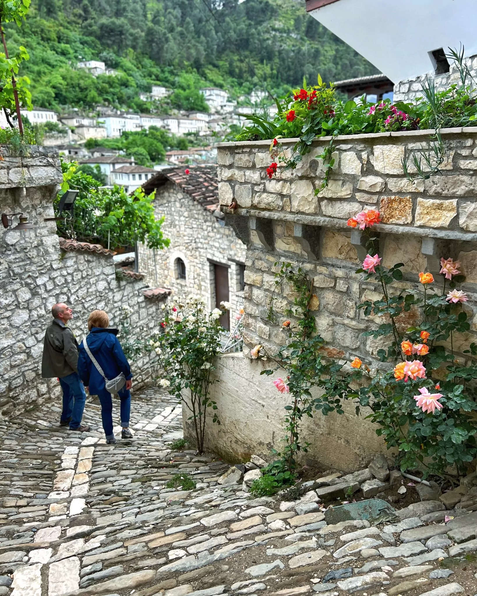 Berat kamienna uliczka