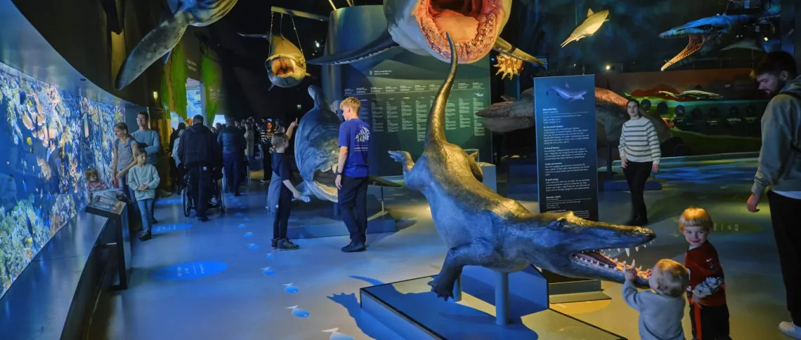 oceanarium Kopenhaga