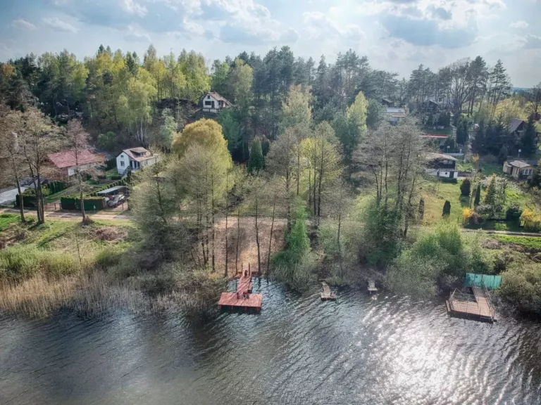 widok na las i jezioro