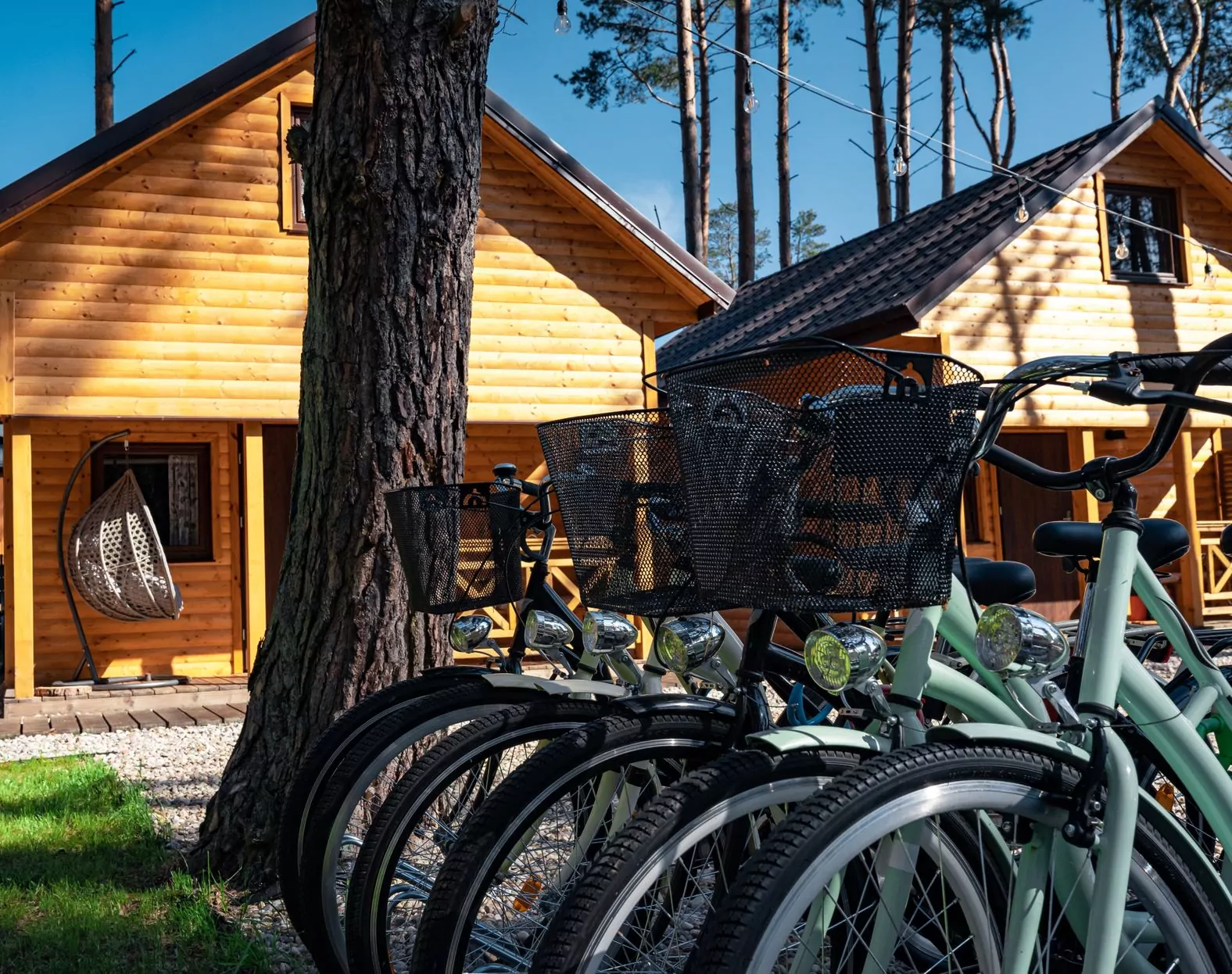 domek nad morzem Domki Sekwoja