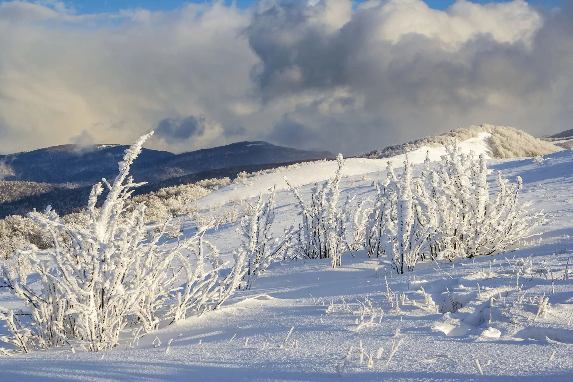 Bieszczady śnieg