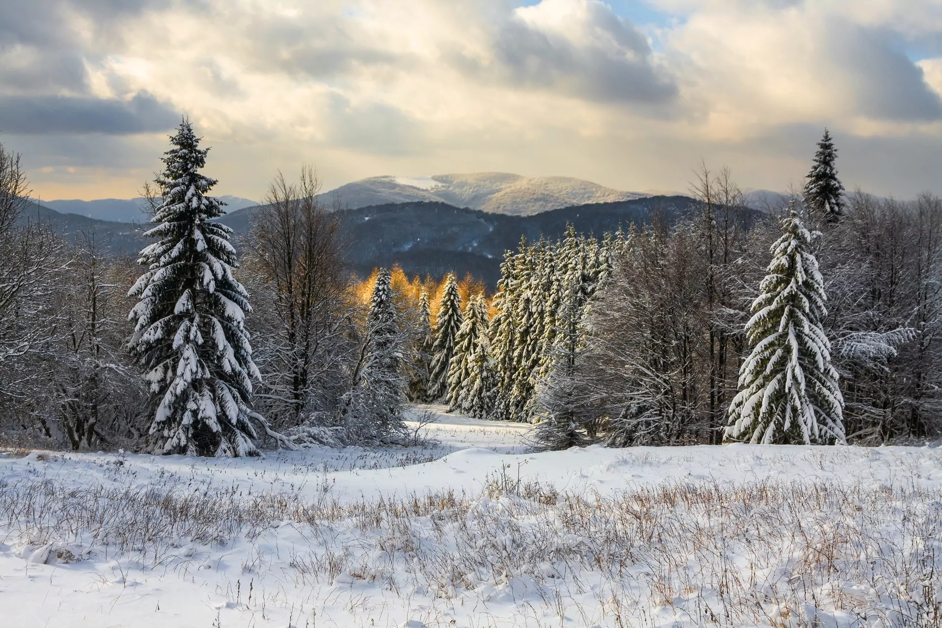Bieszczady zimą