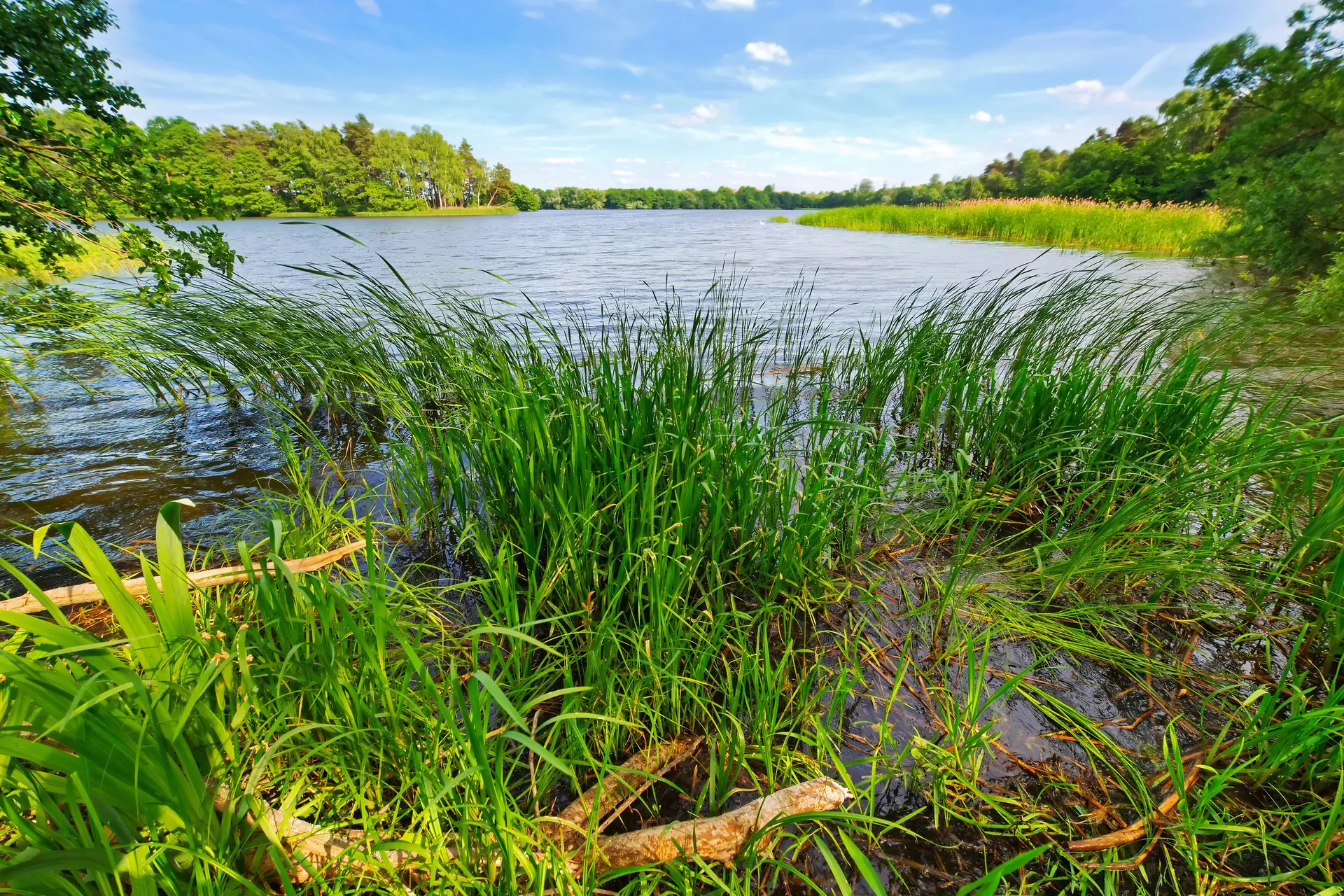 jezioro