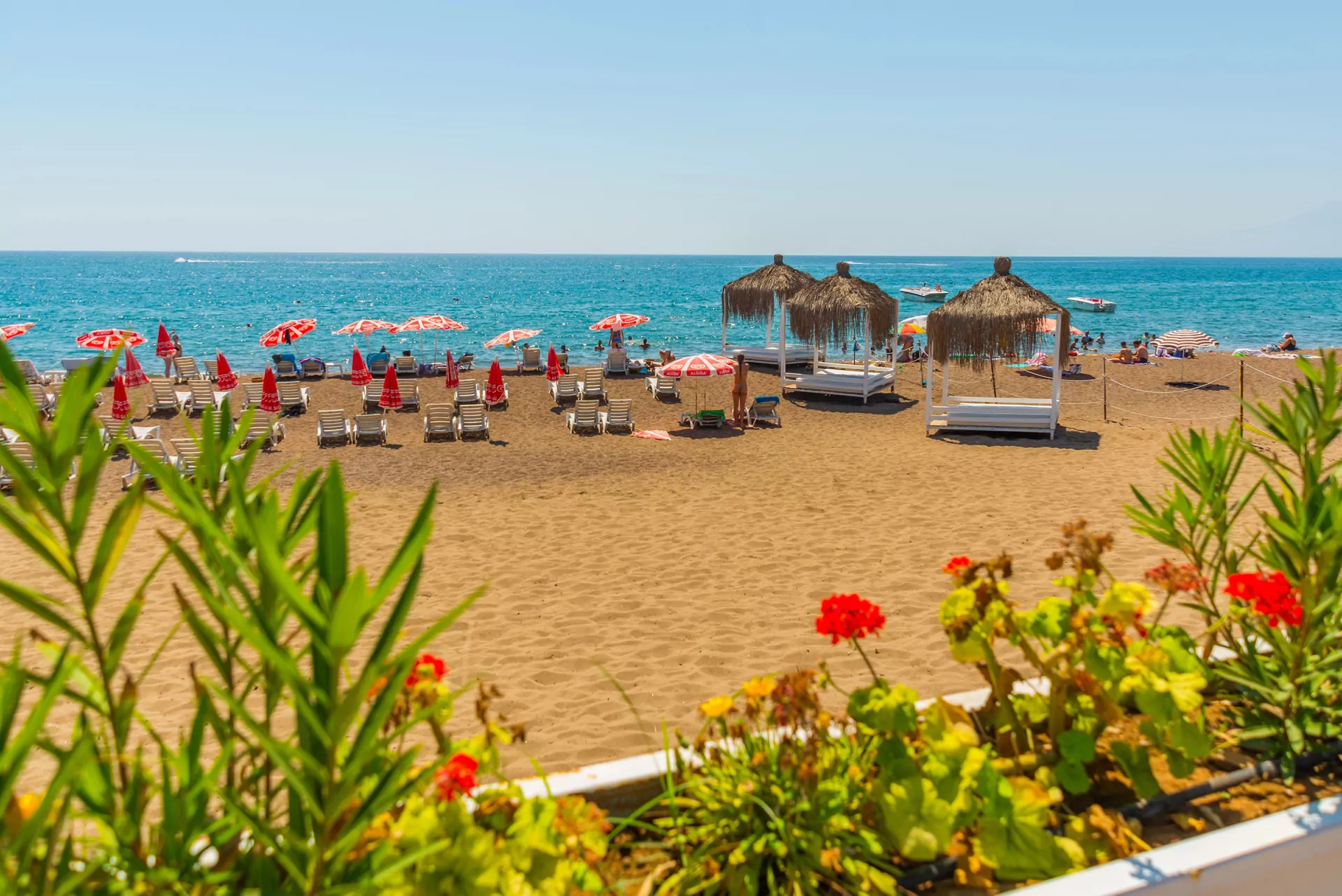 Lara Beach plaża morze parasole leżaki kwiaty