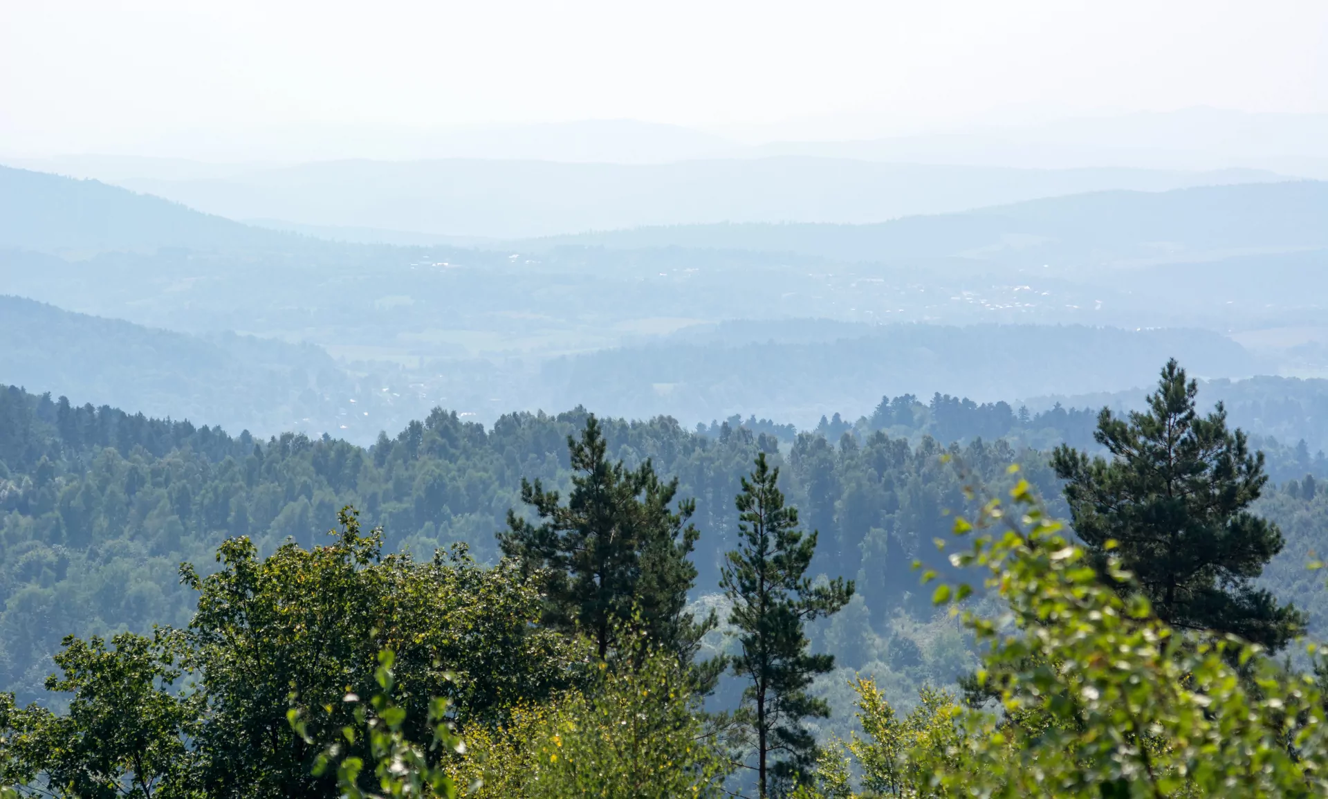 Bieszczady widok