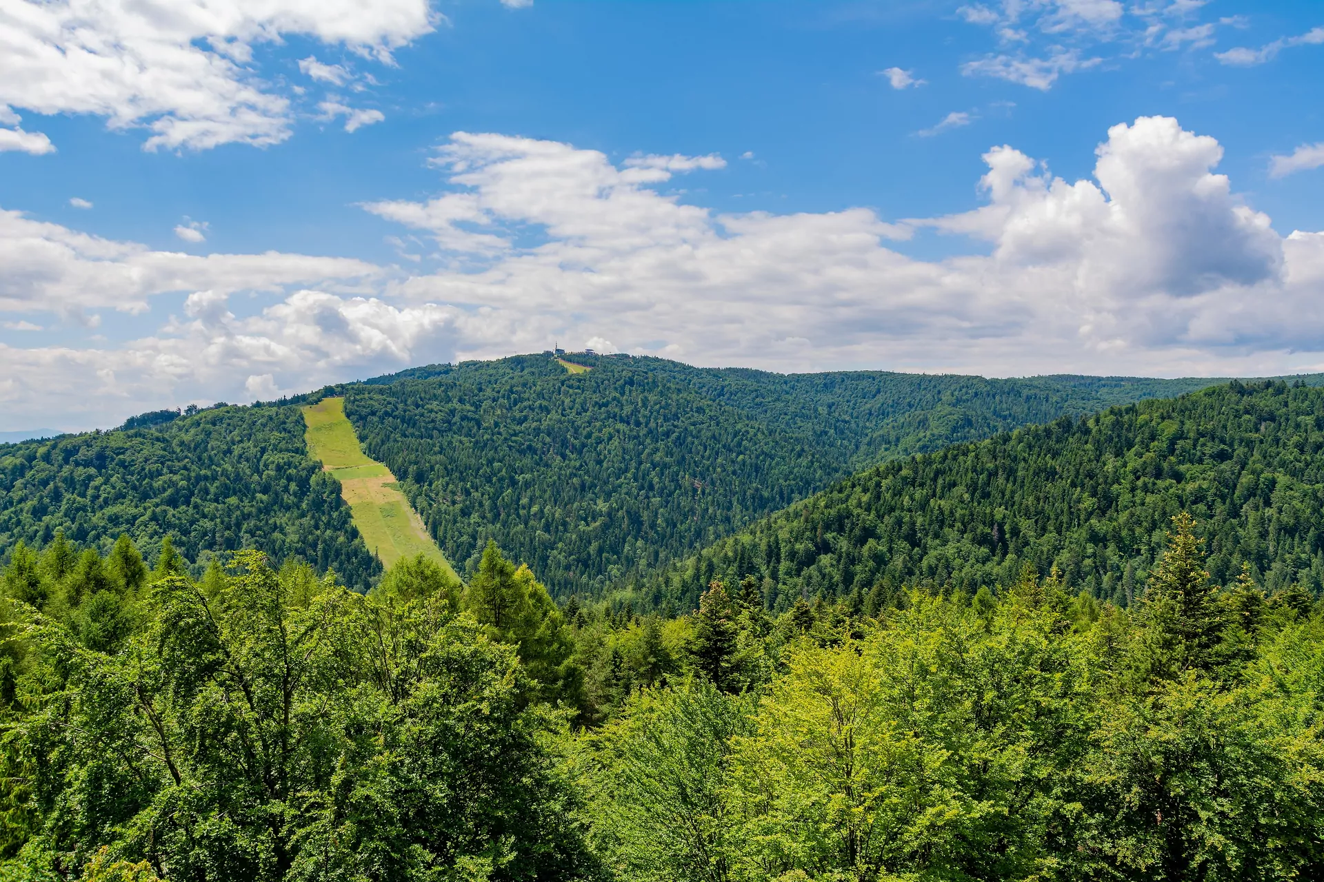 widok Beskidy Jaworzyna Krynicka