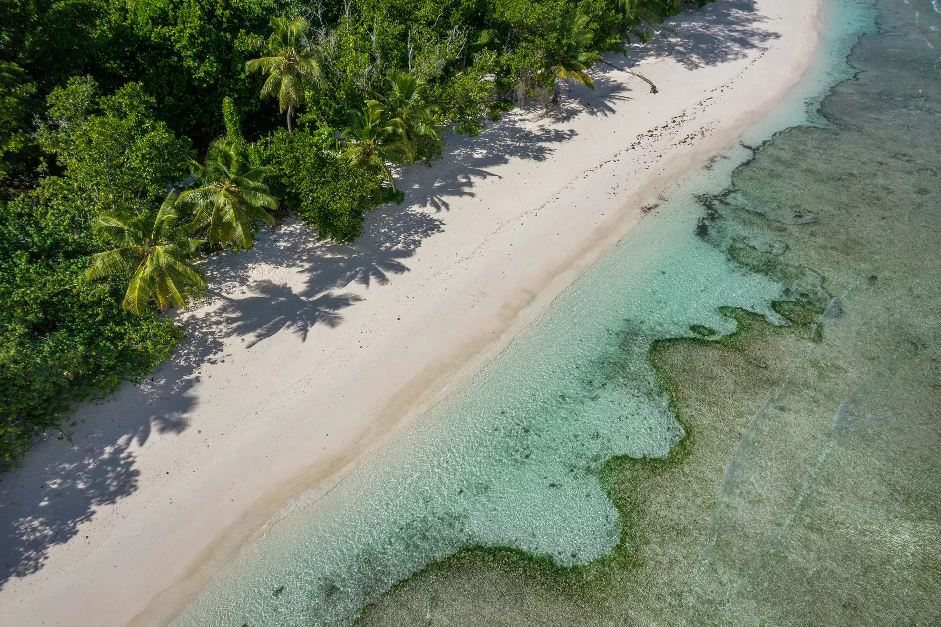 plaża morze słoneczne niebo zielone drzewa seszele na własną rękę