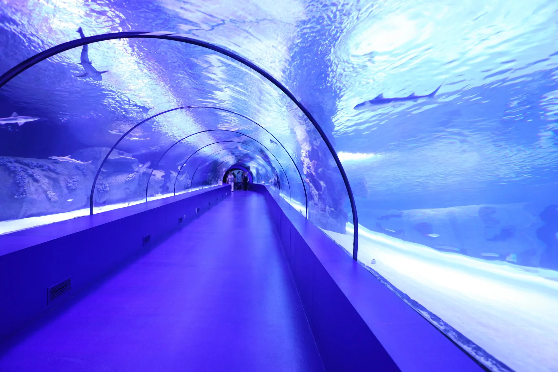 Aquarium Antalya