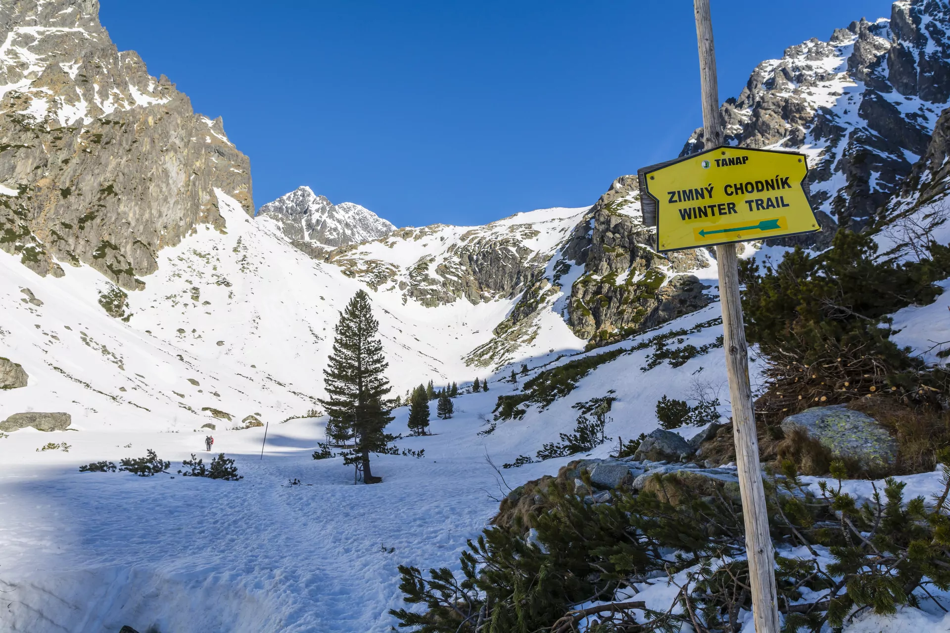 Stary Smokowiec Słowacja