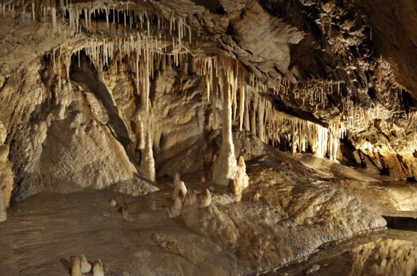 Jaskinia Niedźwiedzia