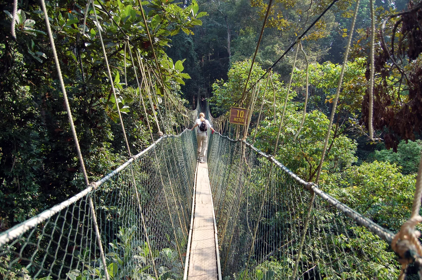 Taman Negara