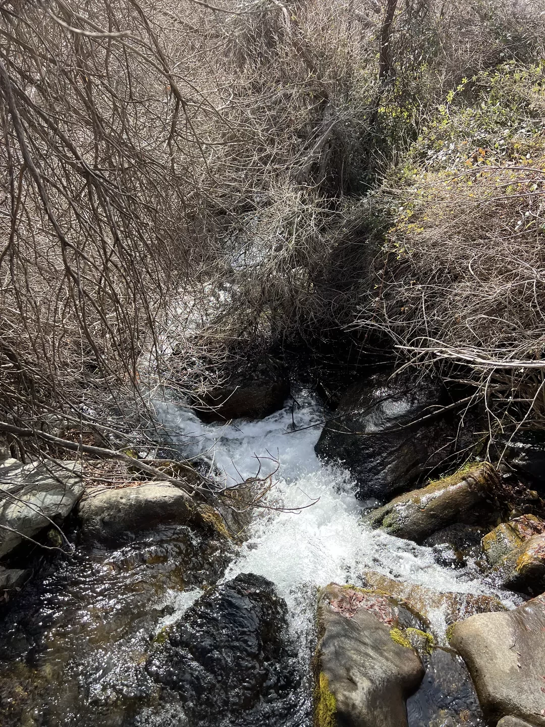 Sierra Nevada wodospad