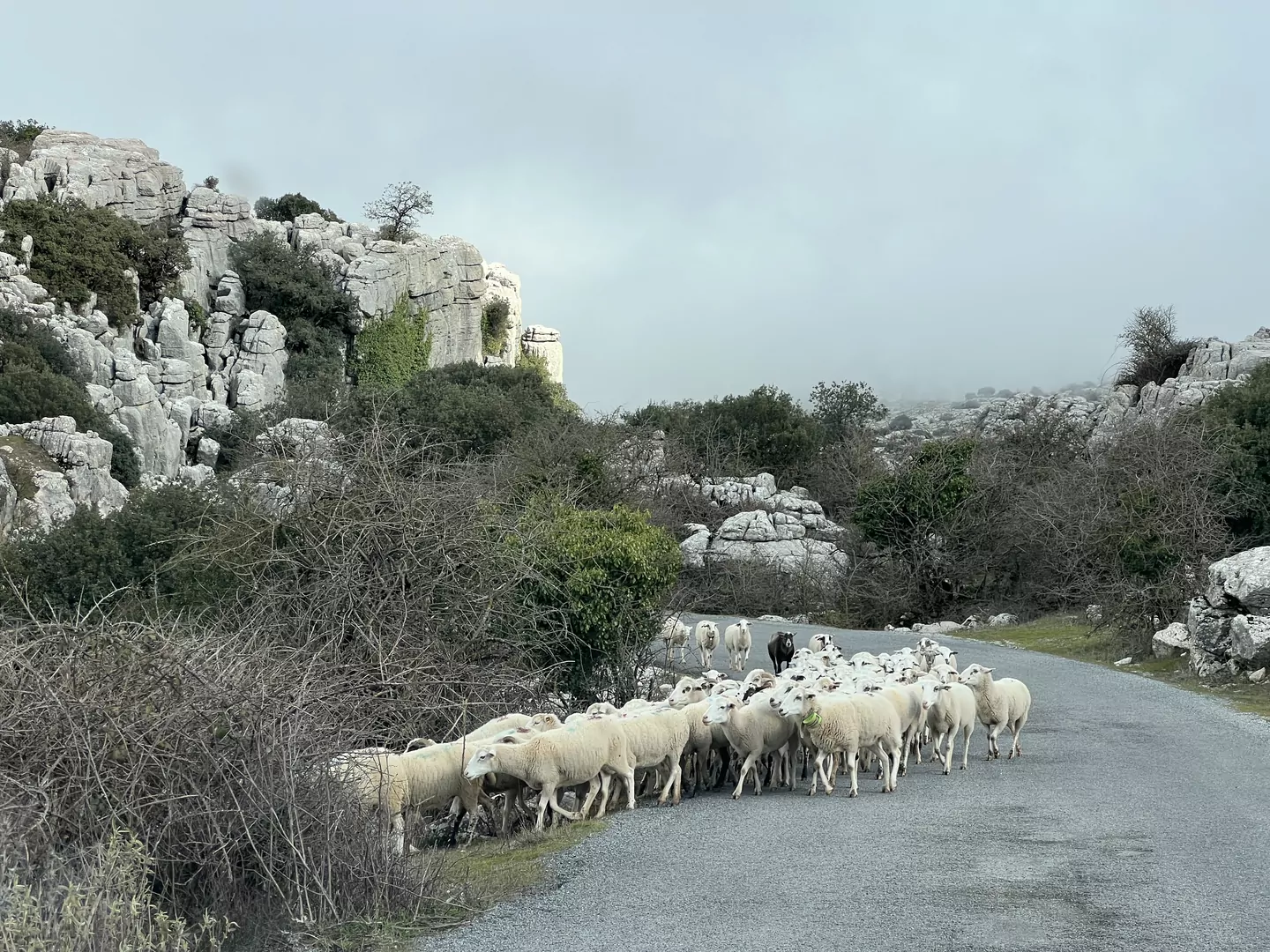 Torcal de Antequera Hiszpania