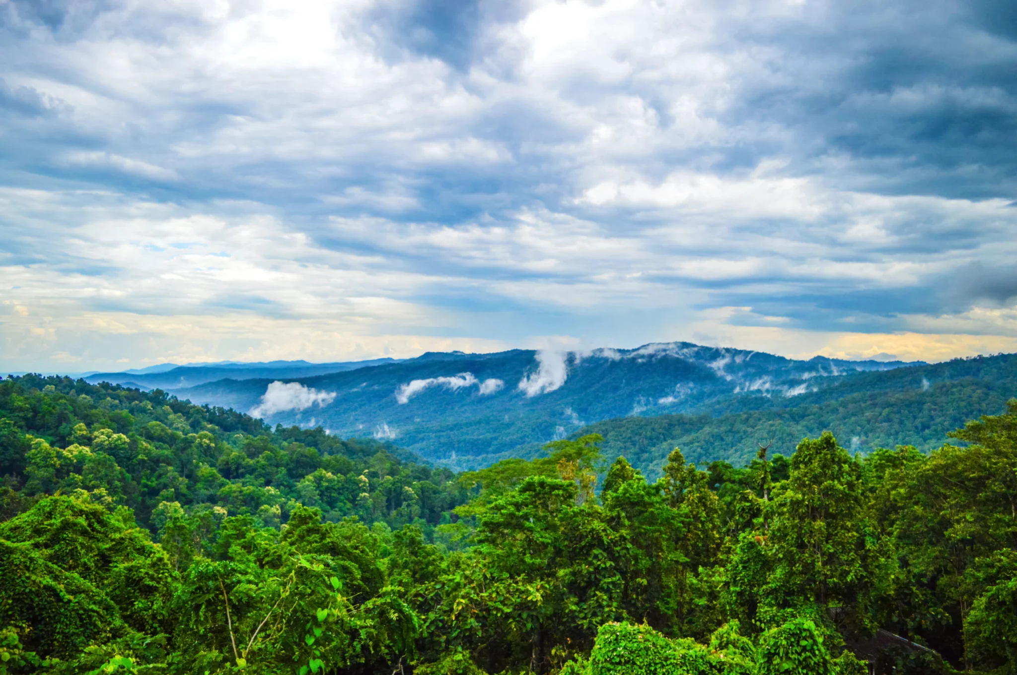 Park Narodowy Doi Khun Tan Tajlandia
