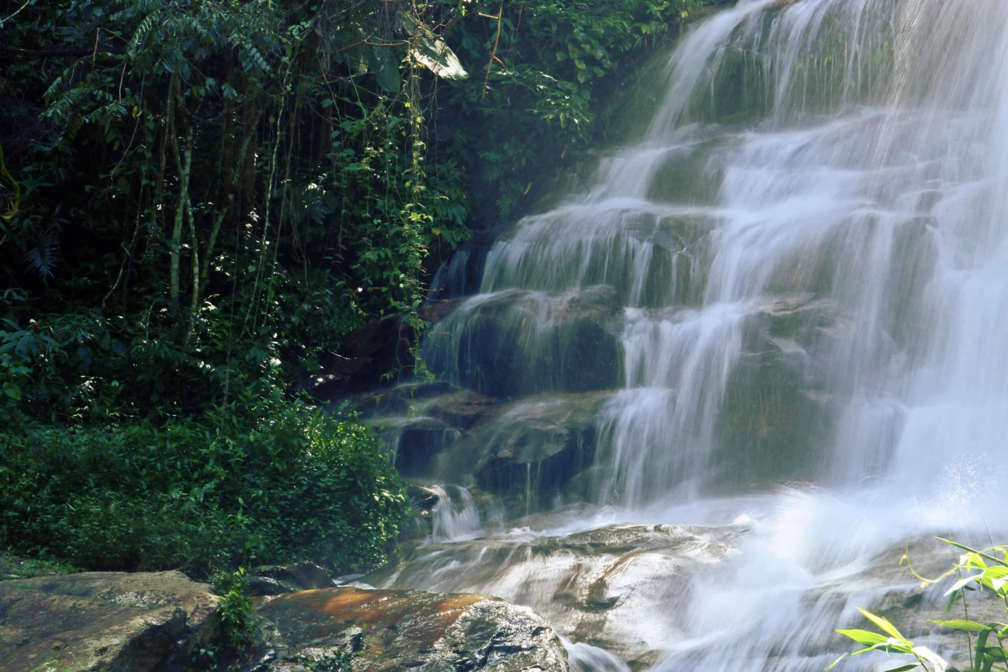 Park Narodowy Doi Suthep Tajlandia