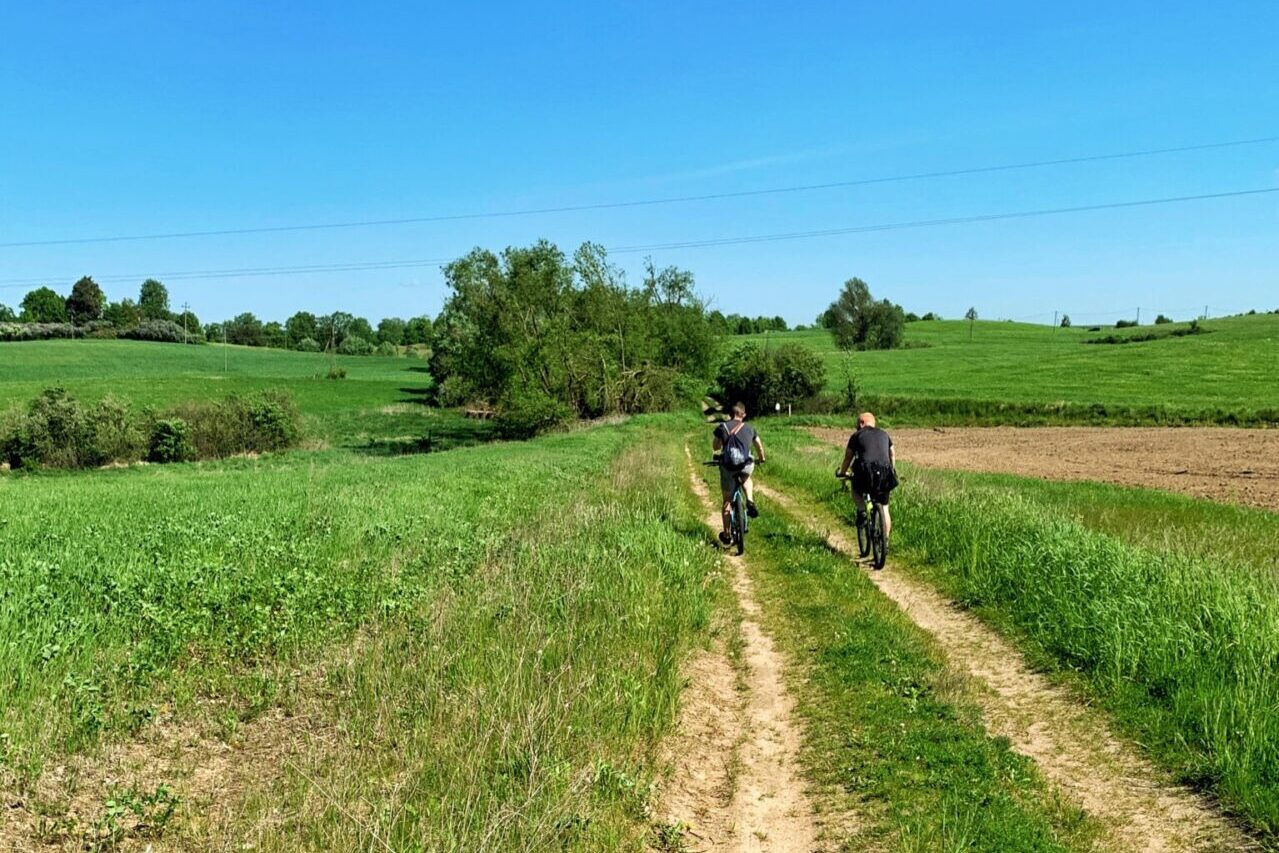 Mikołajki pole rowerzyści