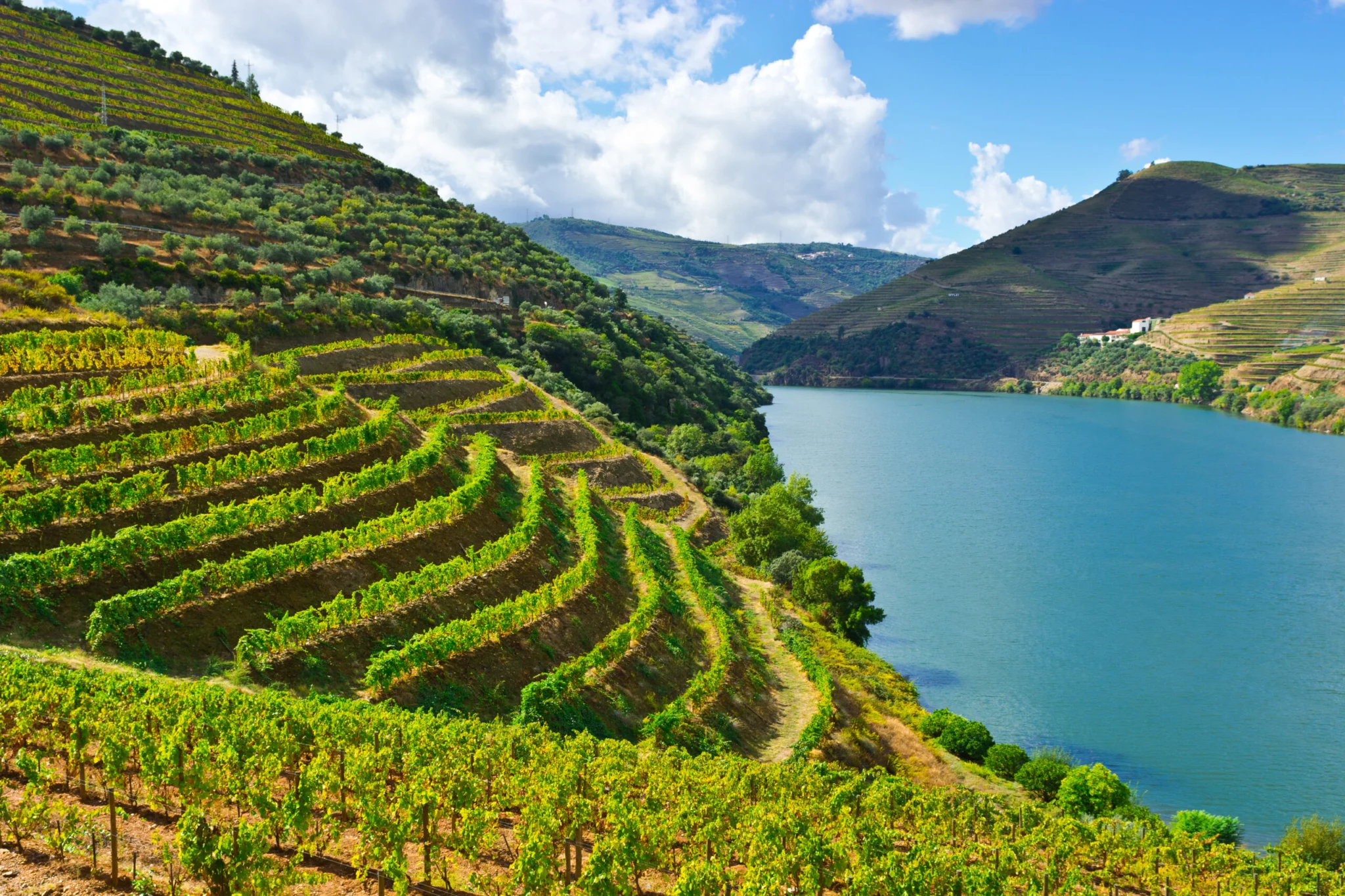 Dolina rzeki Douro Portugalia