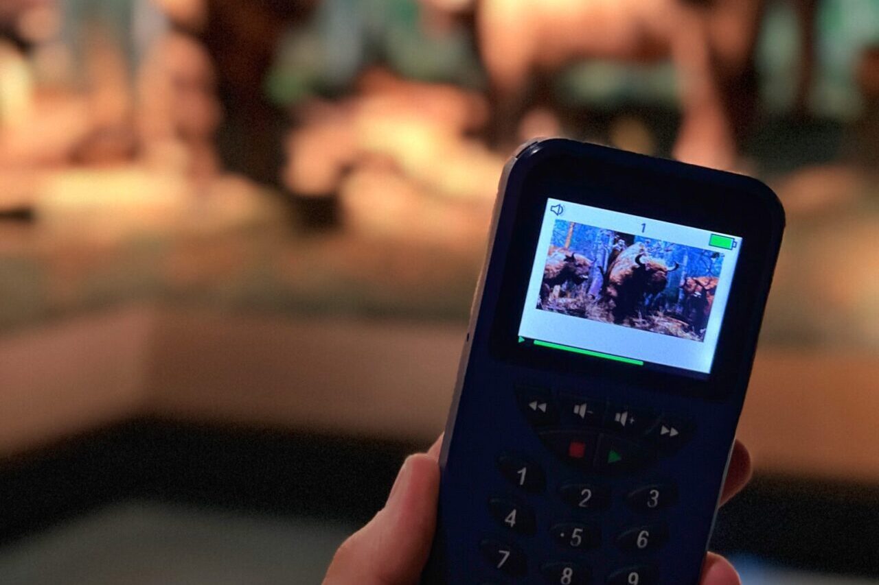 Białowieża muzeum przewodnik