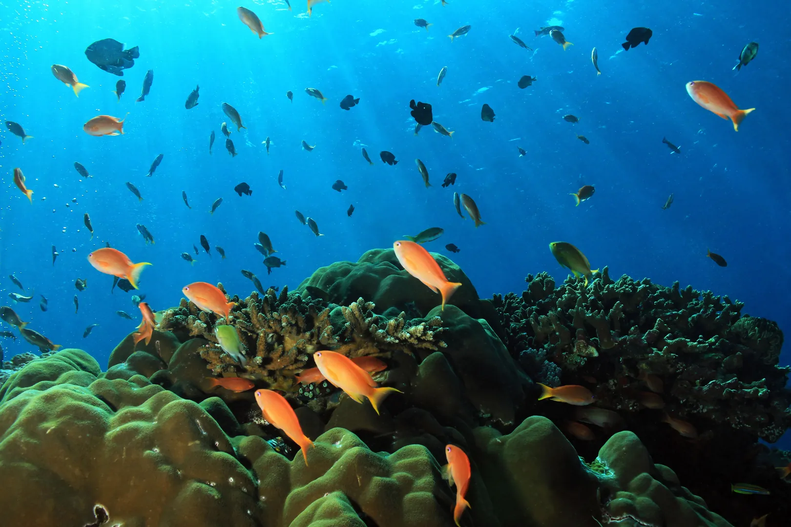 Nusa Penida woda