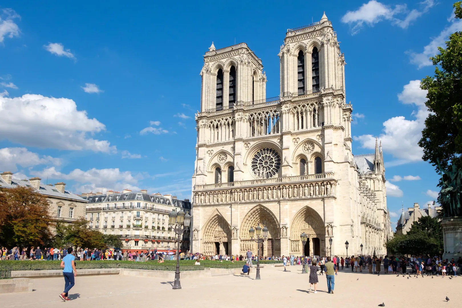 Katedry Notre-Dame 