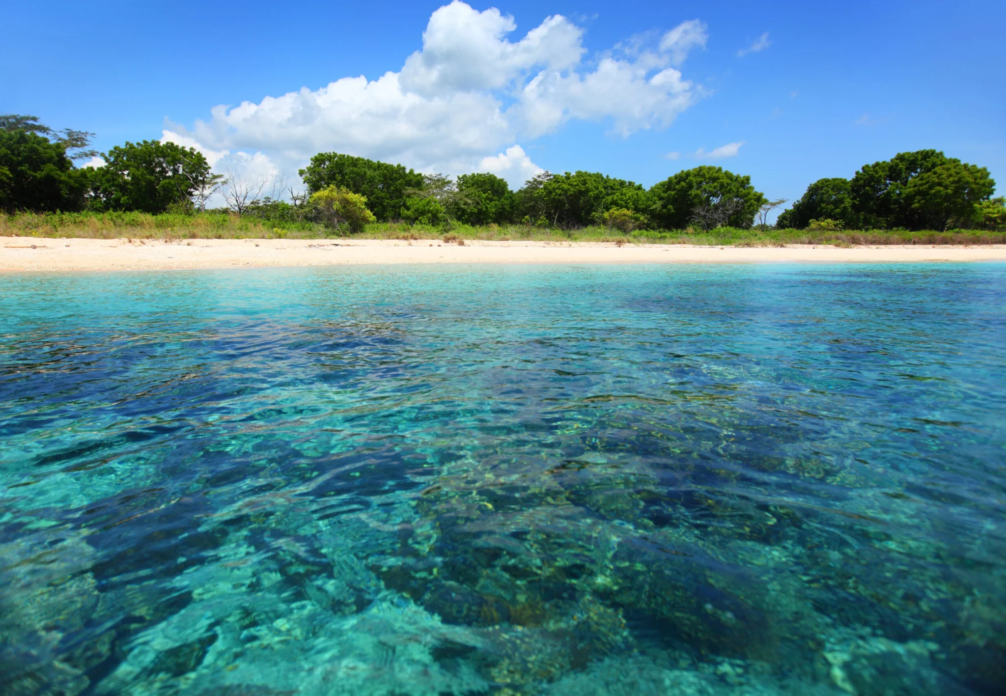 Plaża rafy koralowe Bali