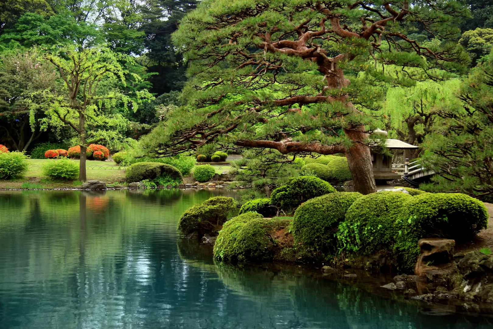 Spokojne jezioro zen Tokio Japonia