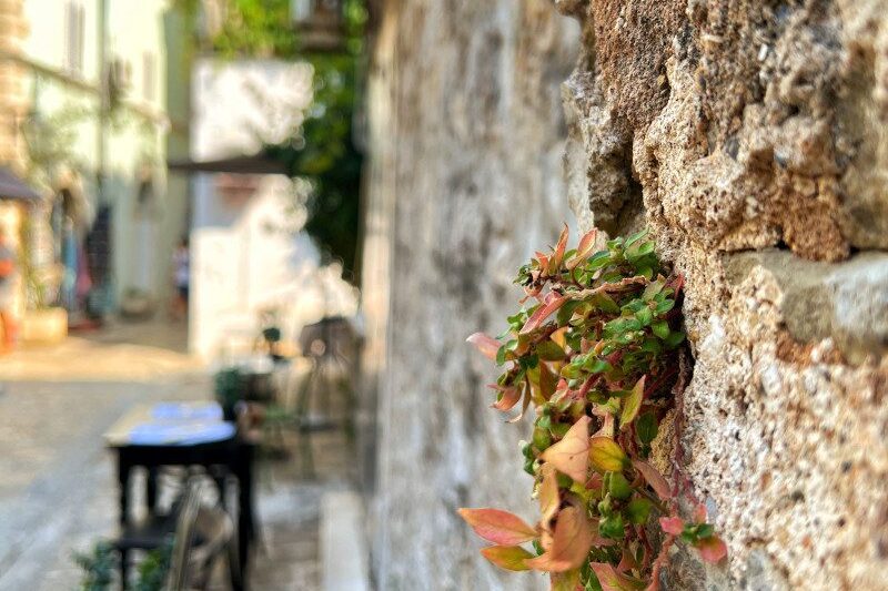 Czarnogóra Budva mur lampa uliczka