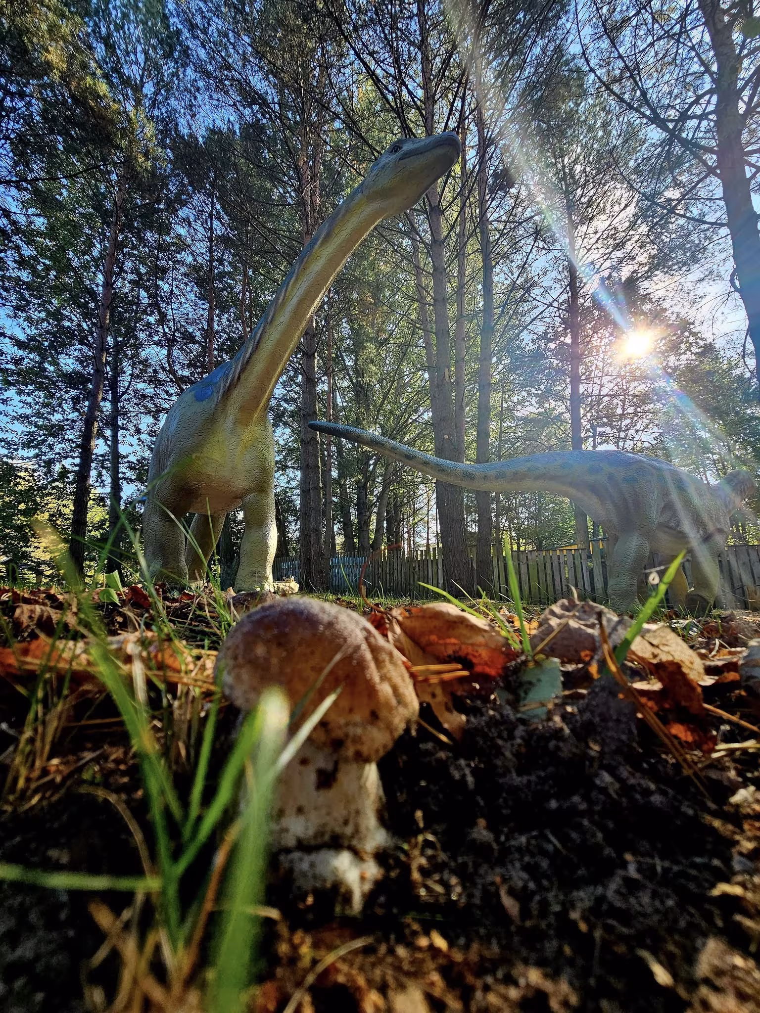 Jurajski Park Dinozaurów