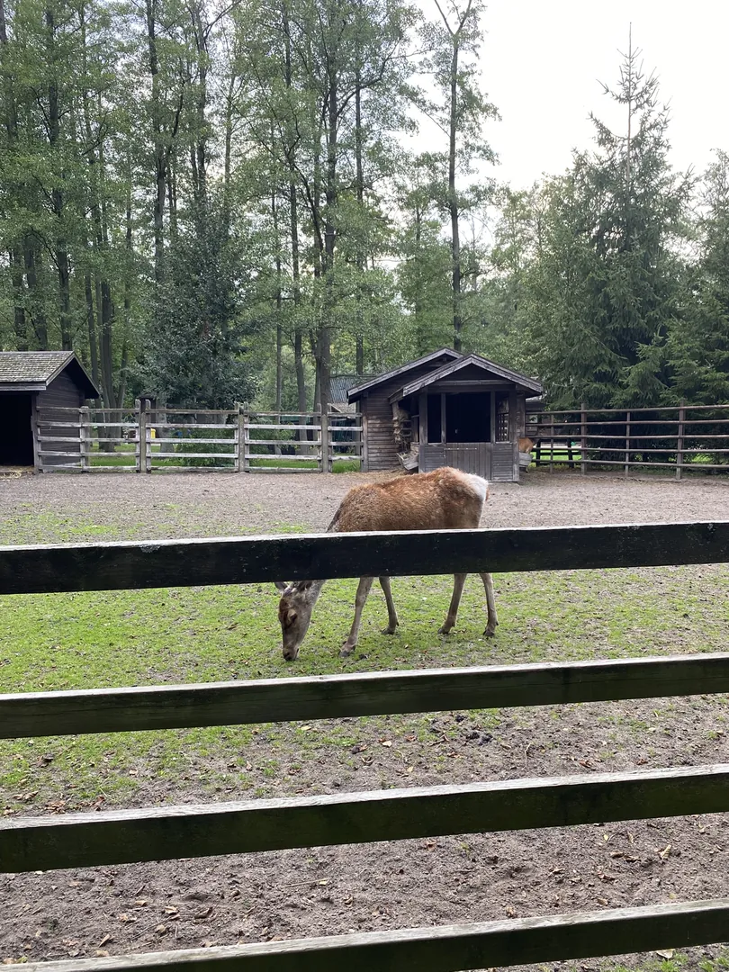 Zoo Białystok