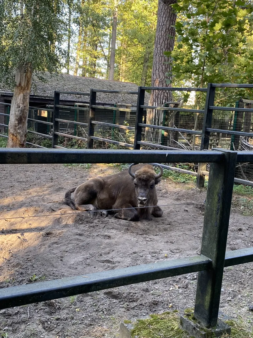 zoo Białystok