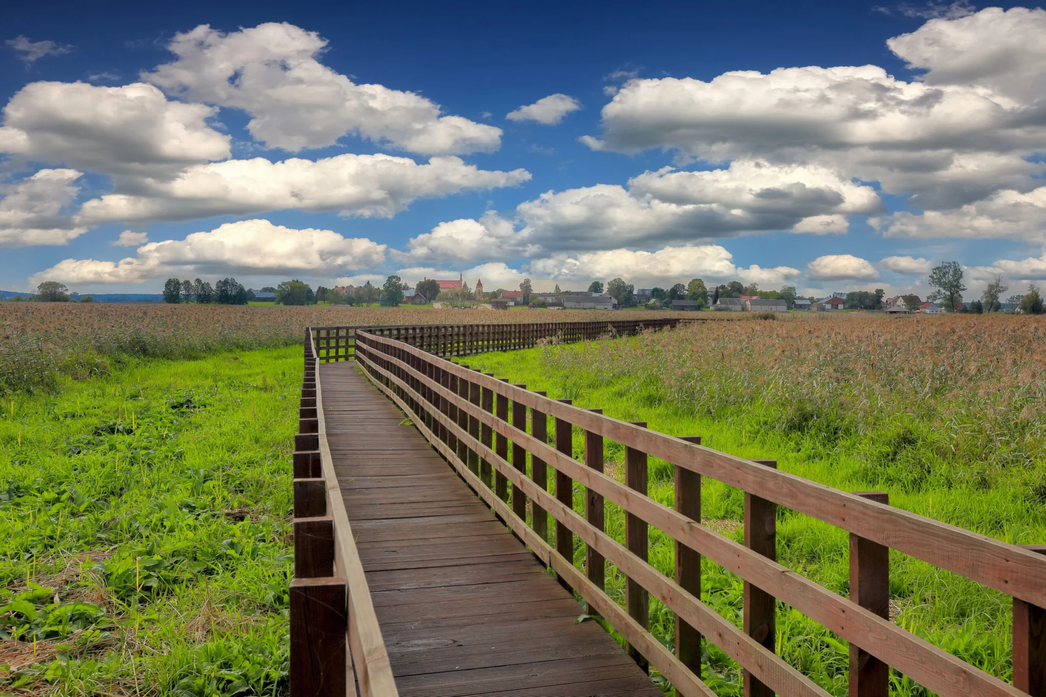 Narwiański Park Narodowy 